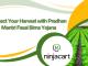 Protect Your Harvest with  Pradhan Mantri Fasal Bima Yojana