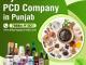 Ayurvedic PCD Company in Punjab