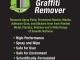 Effective Solution to Remove Graffiti from Your Car