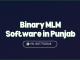 📌 Simplify Your Network Marketing with the Leading MLM Software Development Company in Punjab! 🚀
