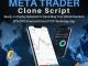 Start Your MT4/MT5 Powered Forex Trading Platform with MetaTrader Clone 