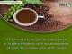 Coffee Production in India – Fresh Beans Direct from the Source