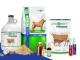 Customized Veterinary Nutrition for Optimal Pet Health