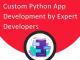 Python App Development Services at Best Prices