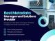 Find Your Own Data Effortlessly with Efficient Metadata Management