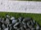 Affordable Cheap Synthetic Grass Perth Supply