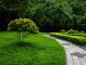 Looking for Expert Landscaping Services in Bucks County, PA?