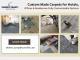 Custom Made Carpets for Hotels, Offices & Residences Fully Customizable Options!