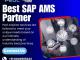 SAP Partner in Bangalore | SAP AMS Partner in Bangalore
