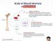  Bone Marrow Transplant in Hyderabad | Dr. S.K. Gupta