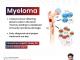  Best Multiple Myeloma Doctor 