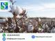 Top Recycled Cotton Yarn Manufacturers – Square Corporation