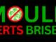 Brisbane’s Trusted Mould Removal Specialists