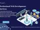 Get Professional Web Development Services for Your Business