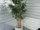 Bring Timeless Greenery Into Your Space With Realistic Artificial Plants