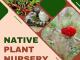 Native Plant Nursery in Melbourne - Newport Native Nursery
