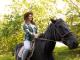 Top-Rated Horse Riding Experience in Pigeon Forge 
