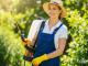 Pest Control Service in Fort Worth Dallas, TX