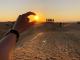 Unleash the Explorer in You with a Desert Safari in Abu Dhabi