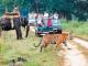 Jim Corbett Tour Packages from Kolkata – Best Deals & Itinerary