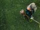 Professional Commercial Lawn Care in Edmonton by Land to Snow
