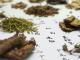 Healing Co Explains Acupuncture’s Fertility Benefits