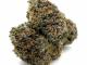 Explore the Flavorful Rainbow Runtz Strain in Canada