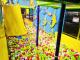 Best Jumping Place in Tampa for Non-Stop Family Fun