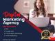 Trusted SEO Company in Dubai – Digital Media Sapiens