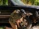 Expert-Led Firearm Training in Broward County for Safer and Smarter Gun Ownership