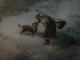 Master the Art of Shapeshifting: Spiritborn Druid Guide for Diablo 4 Season 9