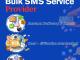 Bulk SMS Service Provider 