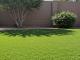Professional Artificial Turf Cleaning Services for Spotless Lawns