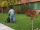 Commercial Lawn Care and Maintenance Services Everett