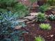 Landscape Design Contractor in Oklahoma