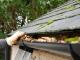 Get Professional Roof and Gutter Cleaning Service  – Turo Gutter