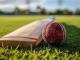 OSMSturf Box Cricket Turf | Fast Install, Pro Quality