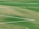 Upgrade Your Cricket Ground with OSMS Turf | Call Now