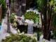 Bay Area Backyard Design – Transform Your Outdoor Space