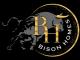 Bison Homes: Leaders Among Luxury Home Builders Auckland