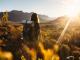 Trauma Abuse Recovery Coach |  Ann Hyland