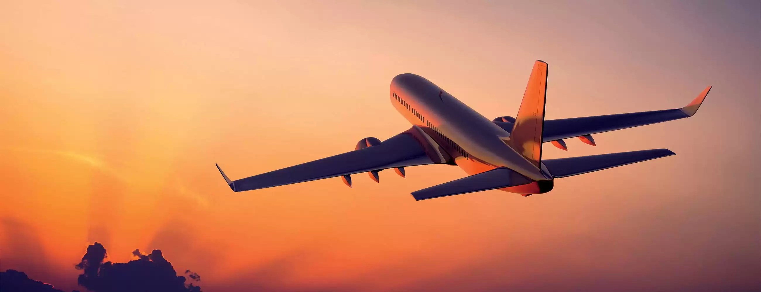 Book USA Flights Easily with Travelay™