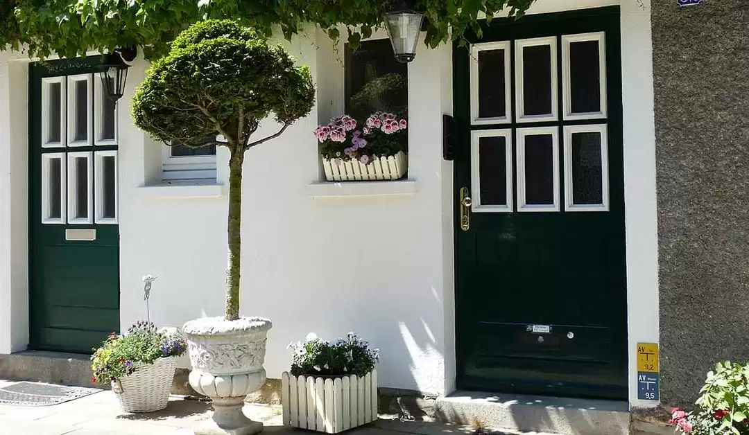 Customized French Wood Door