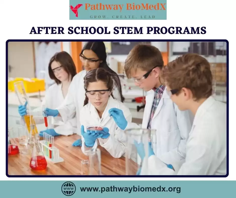 Hands-On STEM Tutoring and Academic Support Afterschool for Young Learners