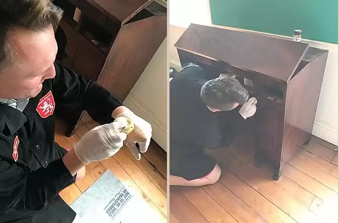 Why Choose Mid Century Furniture Refinishing Experts?