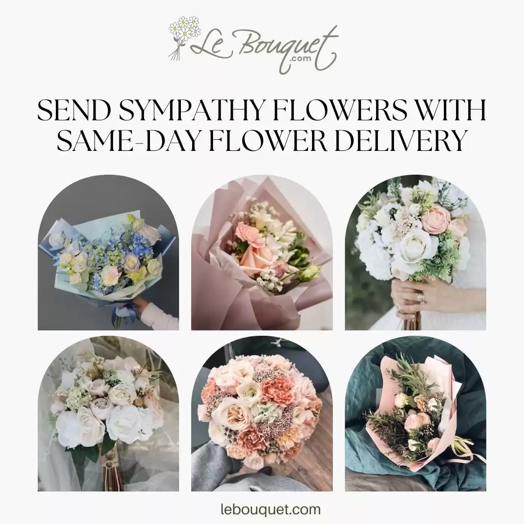 Send Sympathy Flowers with Same-Day Flower Delivery - Le Bouquet