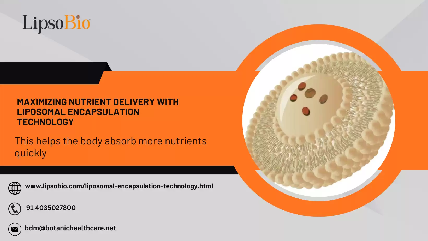 Unlocking the Potential of Liposomal Encapsulation Technology 