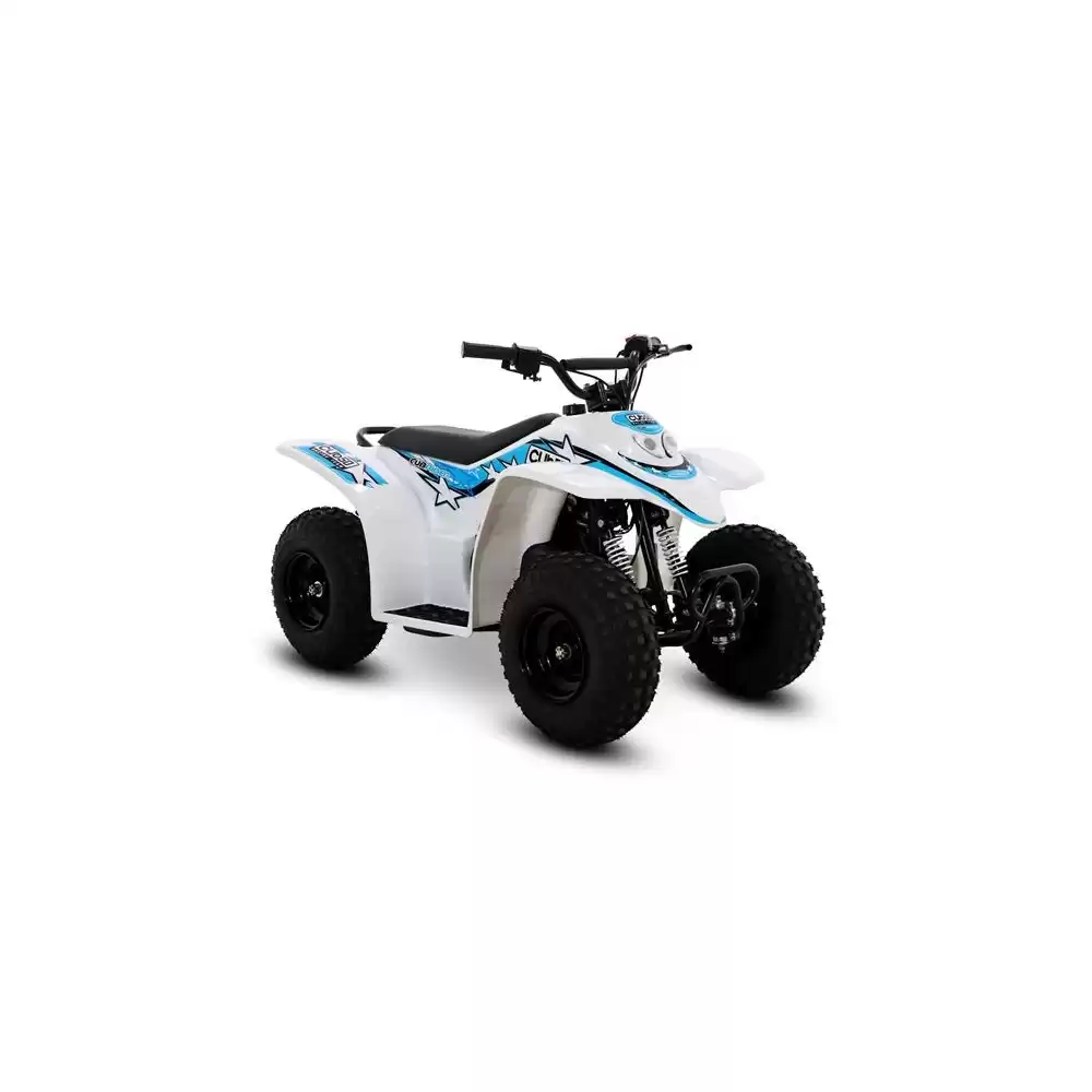 Looking for the Best Quads and Buggies for Kids?