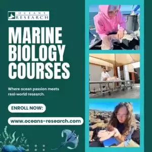 Marine Biology Courses