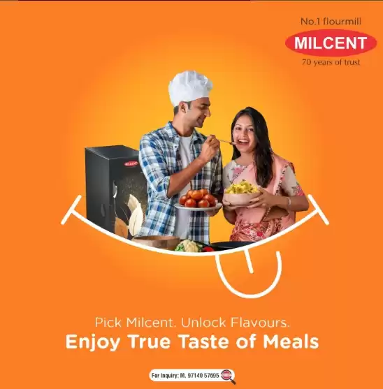 Fully Automatic Domestic Flour Mill for Home – Best Price